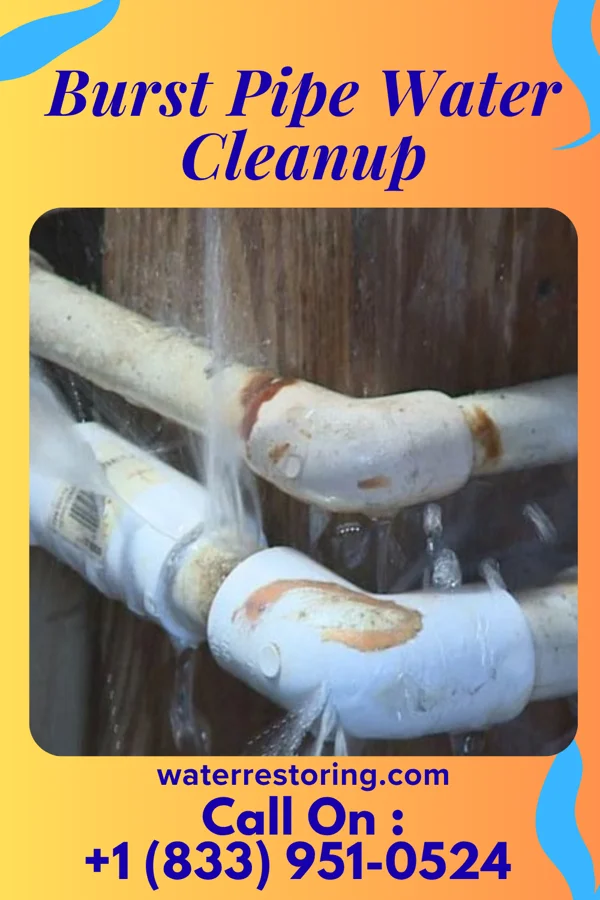 Burst Pipe Water Cleanup in Emerald Lakes, PA