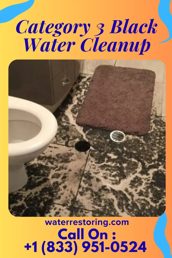 Category 3 Black Water Cleanup in Emerald Lakes, PA