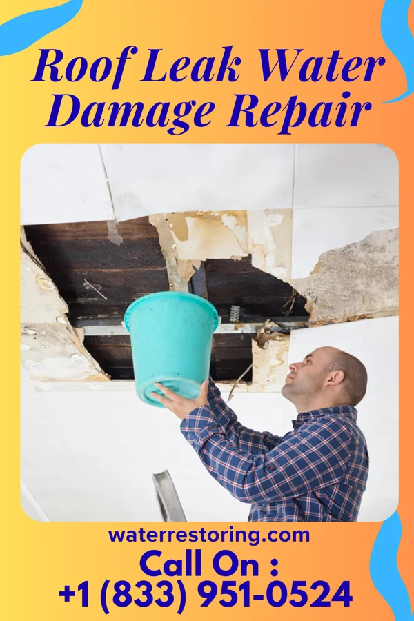 Roof Leak Water Damage Repair in Emerald Lakes, PA
