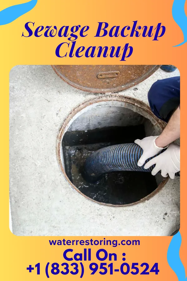 Sewage Backup Cleanup in Emerald Lakes, PA