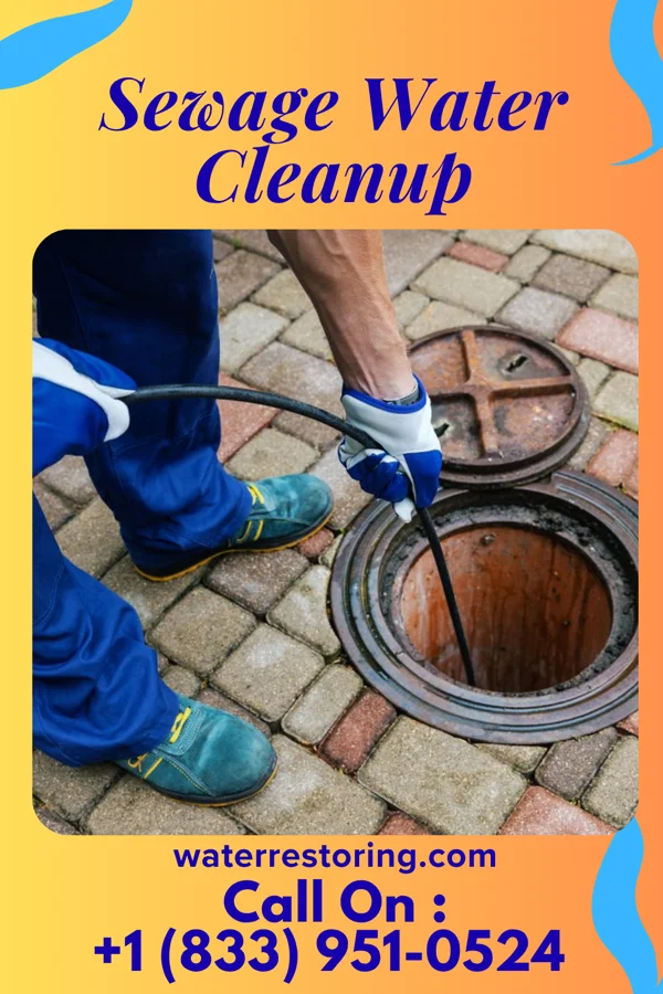Sewage Water Cleanup in Emerald Lakes, PA