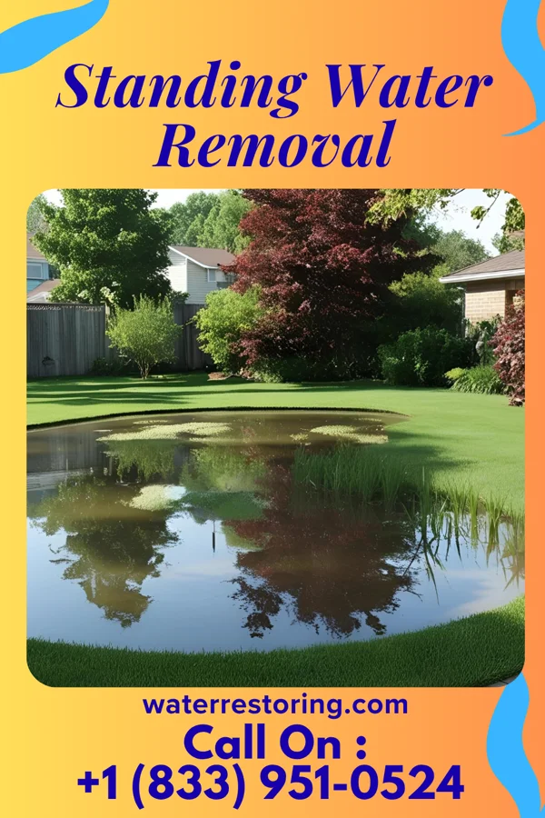 Standing Water Removal in Emerald Lakes, PA